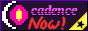 cadence now!